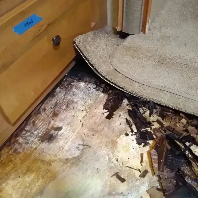 Wood Floor Water Damage in Glendale Heights, IL